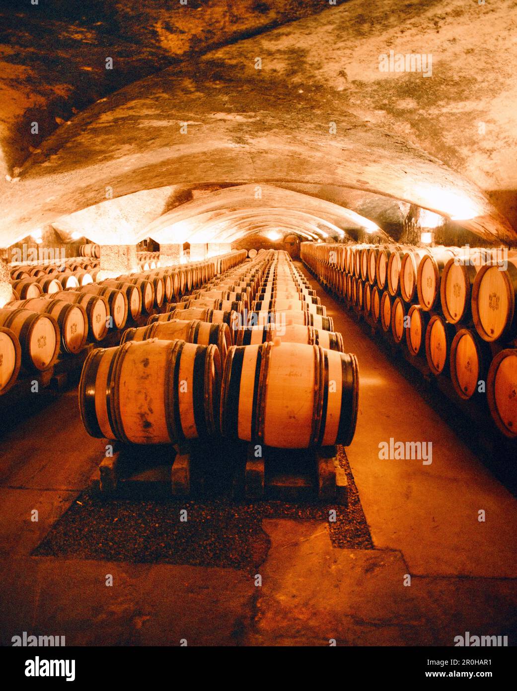 FRANCE, Burgundy, wine barrels kept in illuminated wine cave, Chateau