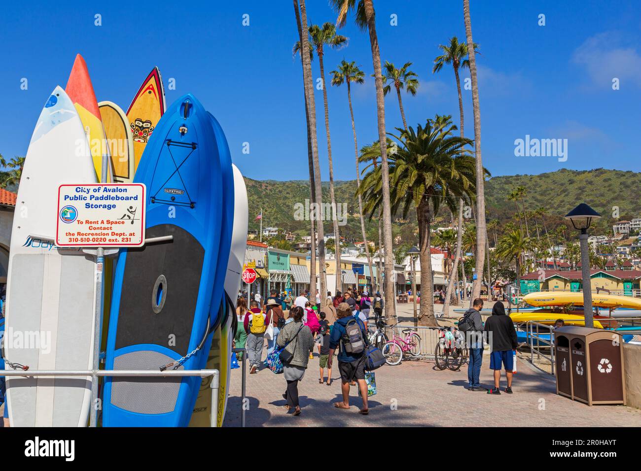 South Beach kayak rental, Avalon City, Catalina Island, Southern
