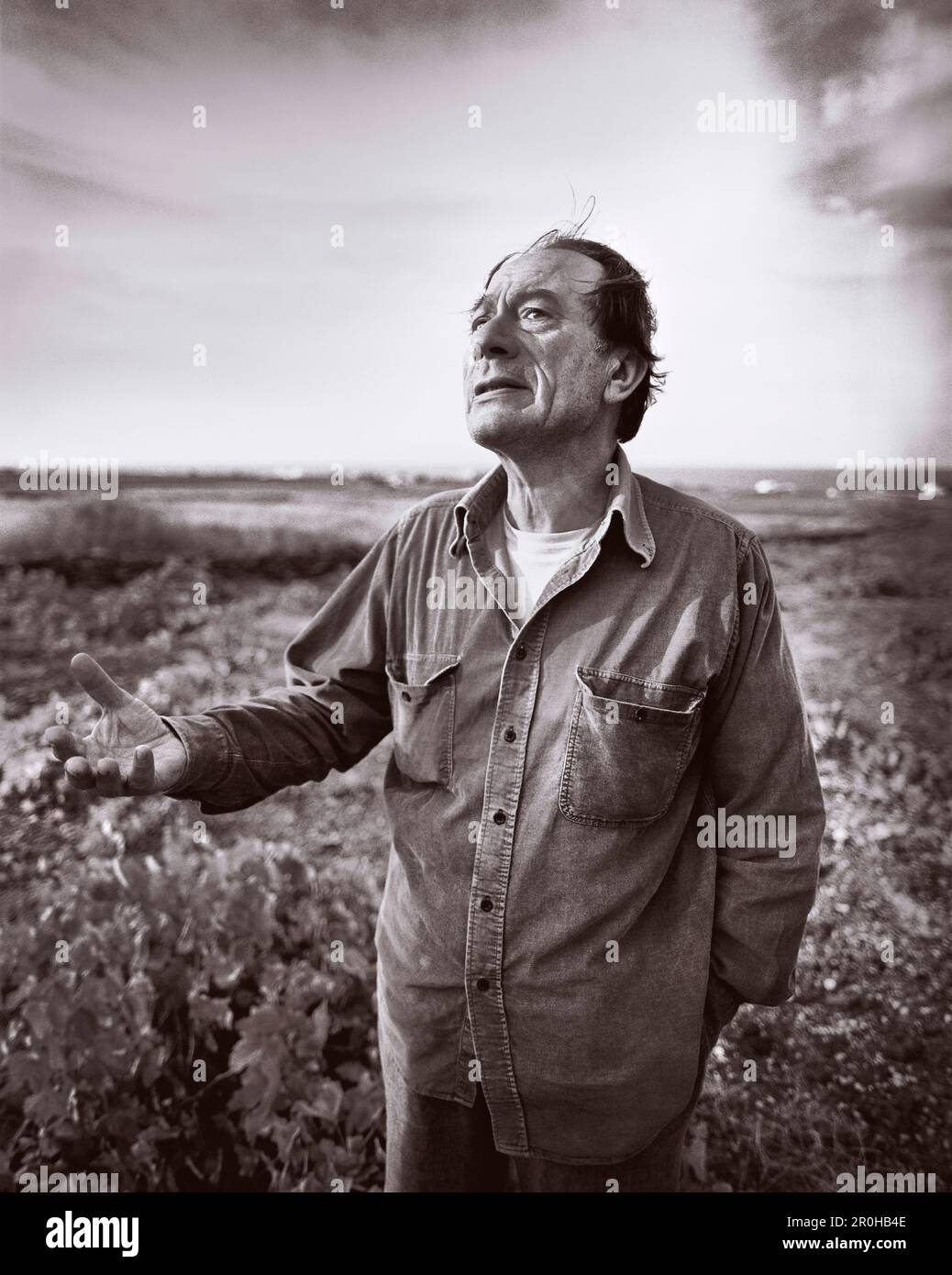 GREECE, Santorini, Oia, portrait of winemaker Paris Sigalas in his vines at Domaine Sigalas Winery in an area called Baxedes (B&W) Stock Photo
