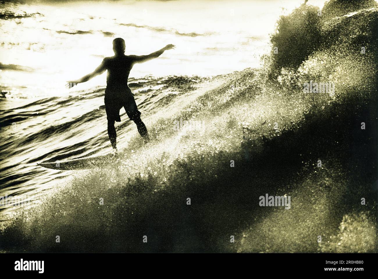 Shore silhouette hi-res stock photography and images - Alamy