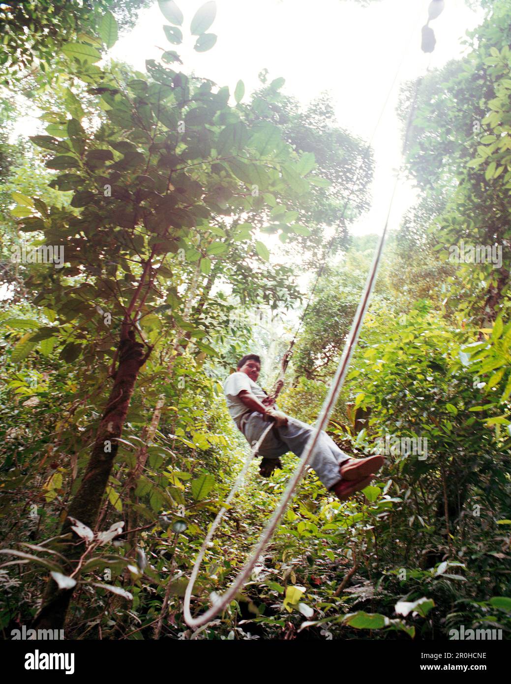 PANAMA, El Valle, Canopy zip line adventure in the treetops of the