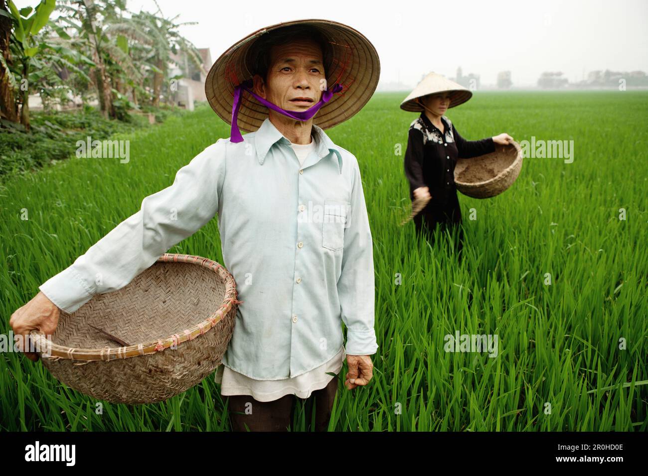 VIETNAM, Hanoi countryside, rice farmers Nguyen Huu Uc and Nguyen Thi ...