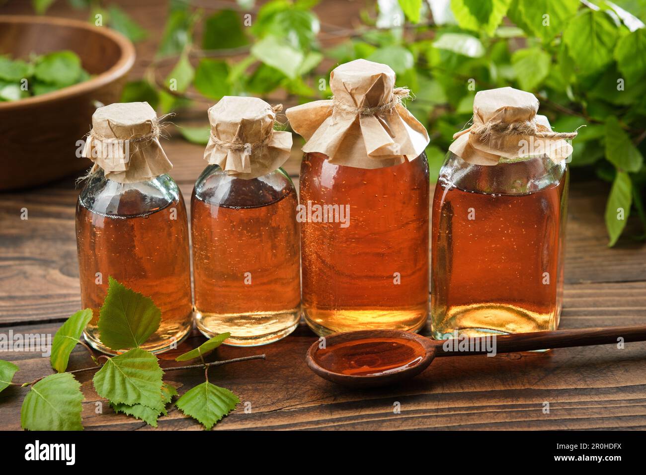 Bottles of birch essential oil, infusion or tincture. Birch syrup or coal tar oil bottles. Birch tree twigs with leaves. Alternative herbal medicine Stock Photo