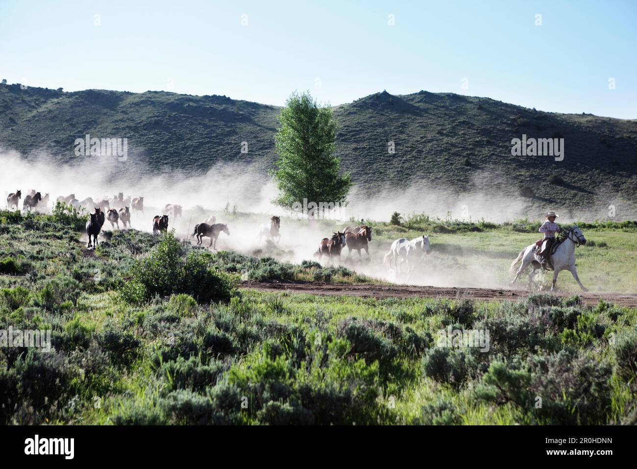 Early doors ridden hi-res stock photography and images - Alamy