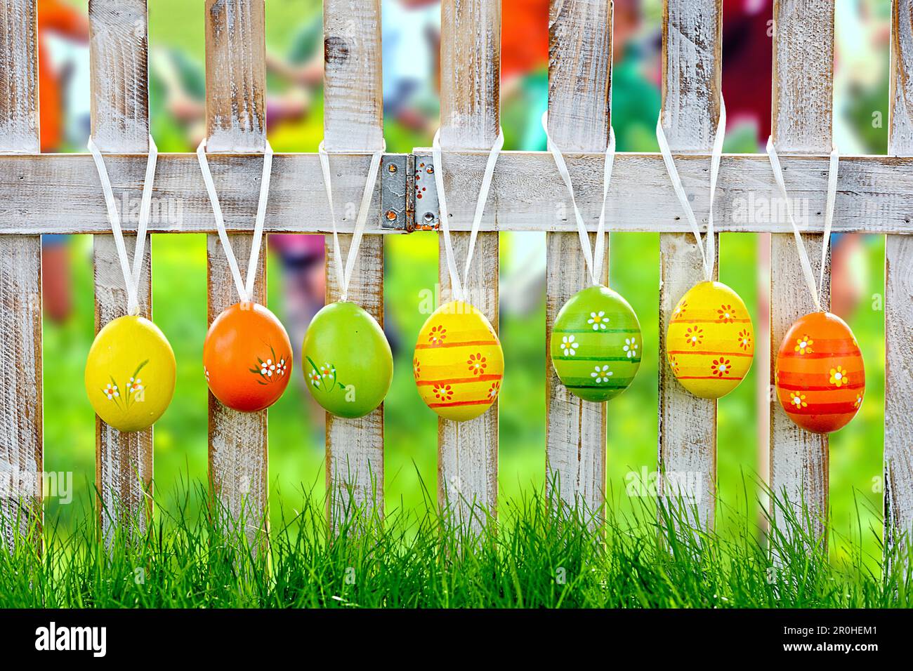 Easter eggs hanging at a garden fence, Germany Stock Photo
