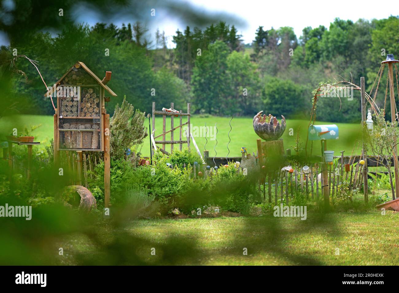 Insects Rural Rural insects hi-res stock photography and images - Alamy