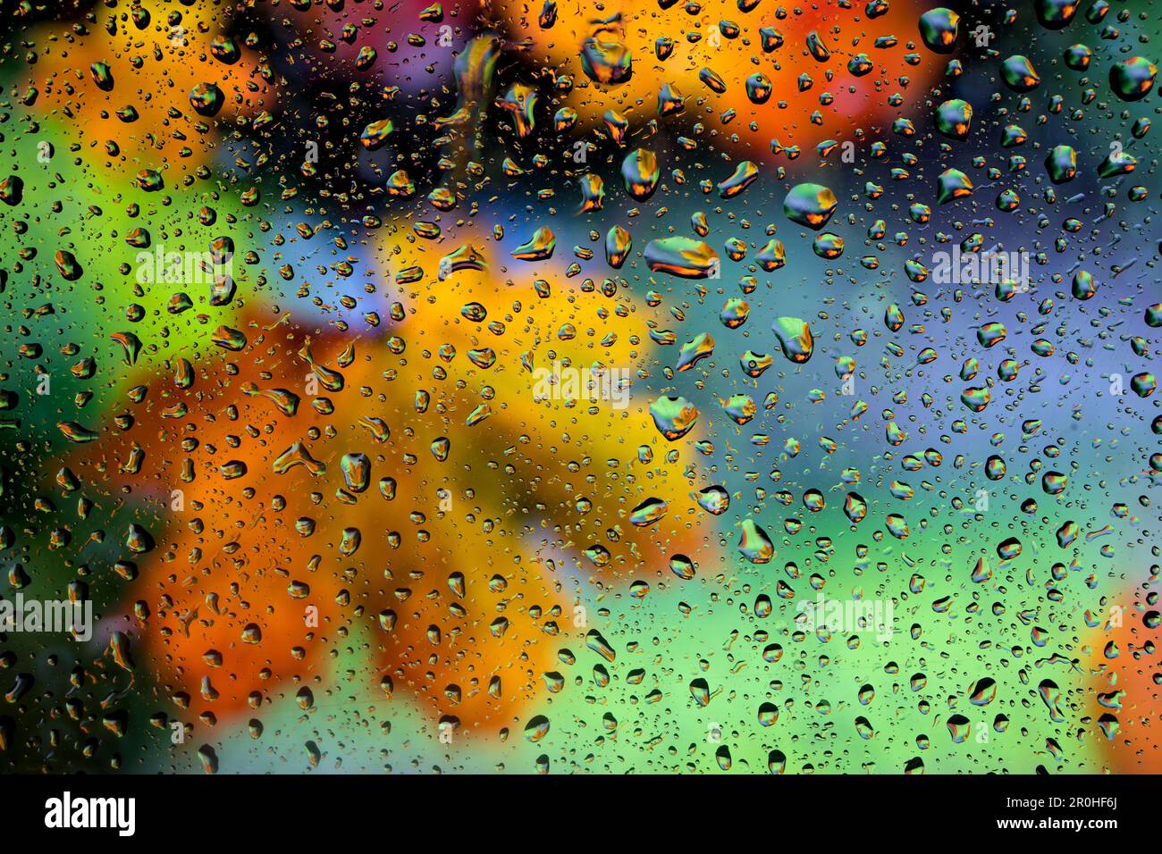raindrops on a window panel in autumn, Germany Stock Photo