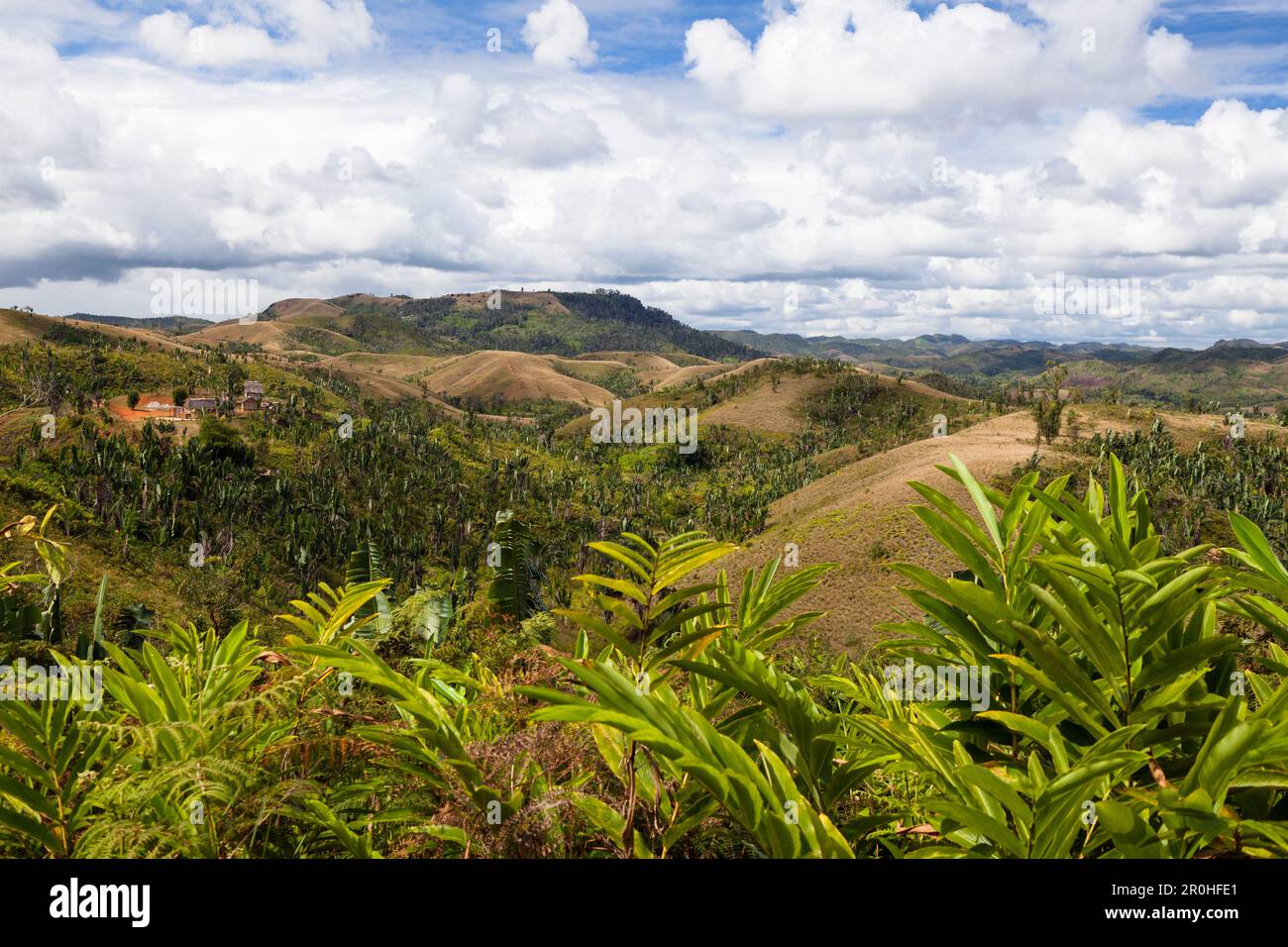 Deforested highlands near Andasibe, East Madagascar, Africa Stock Photo