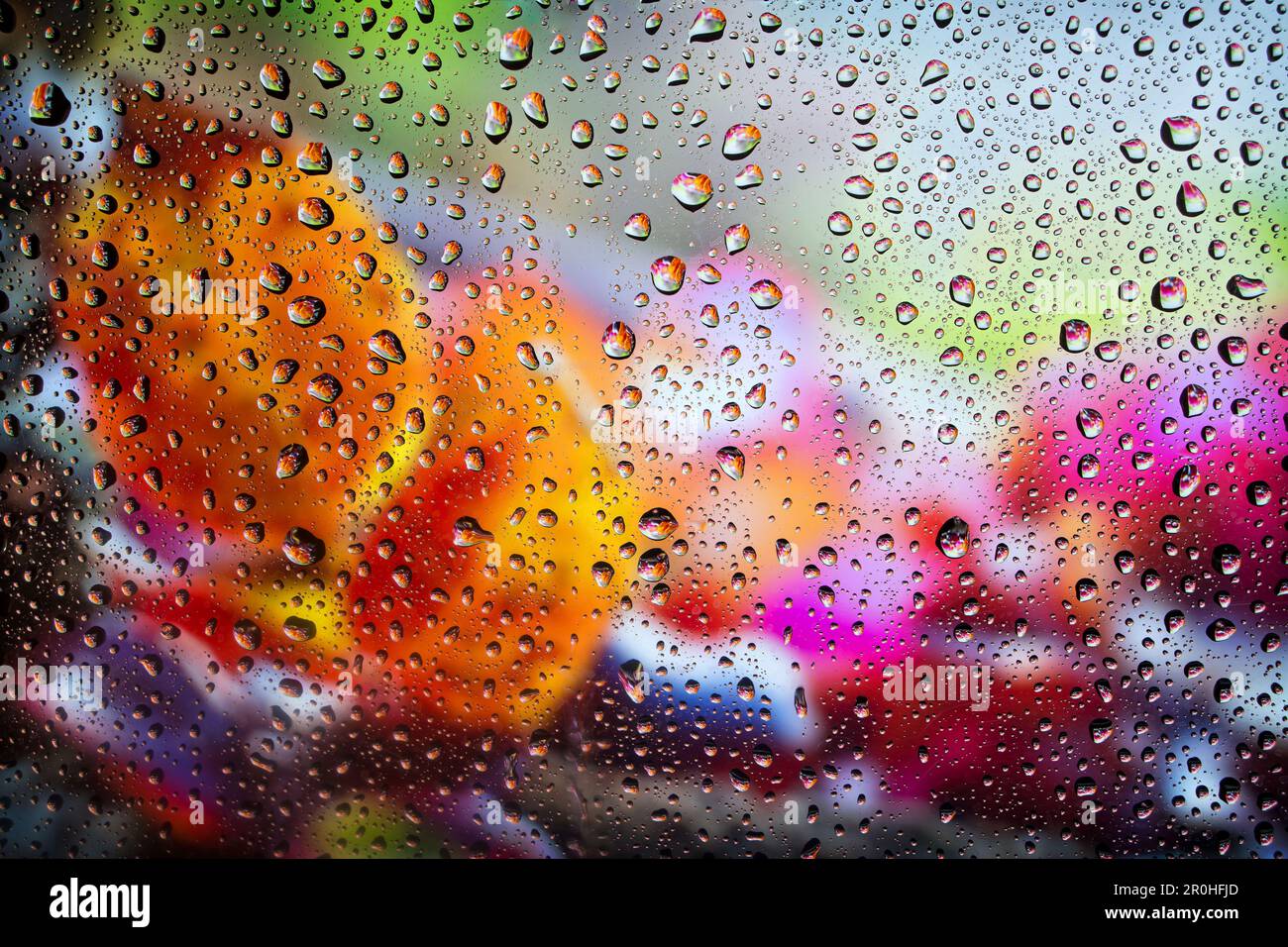 raindrops on a window panel in autumn, Germany Stock Photo