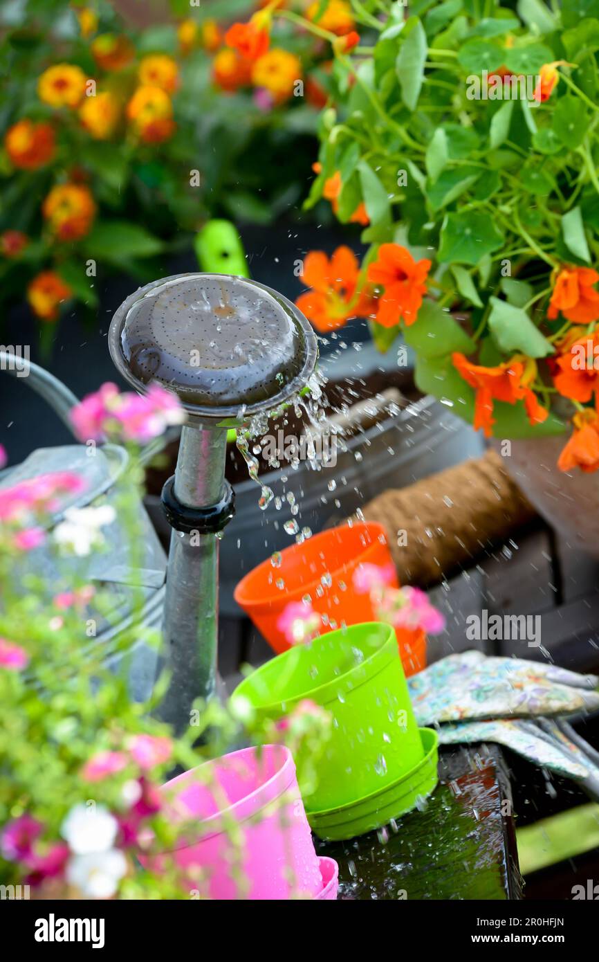 water dropping from an old pewter can after watering flowers Stock Photo