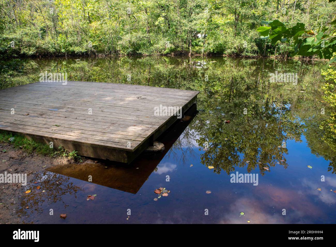 Tranquil empty wooden fishing dock on a calm idyllic woodland pond Stock Photo