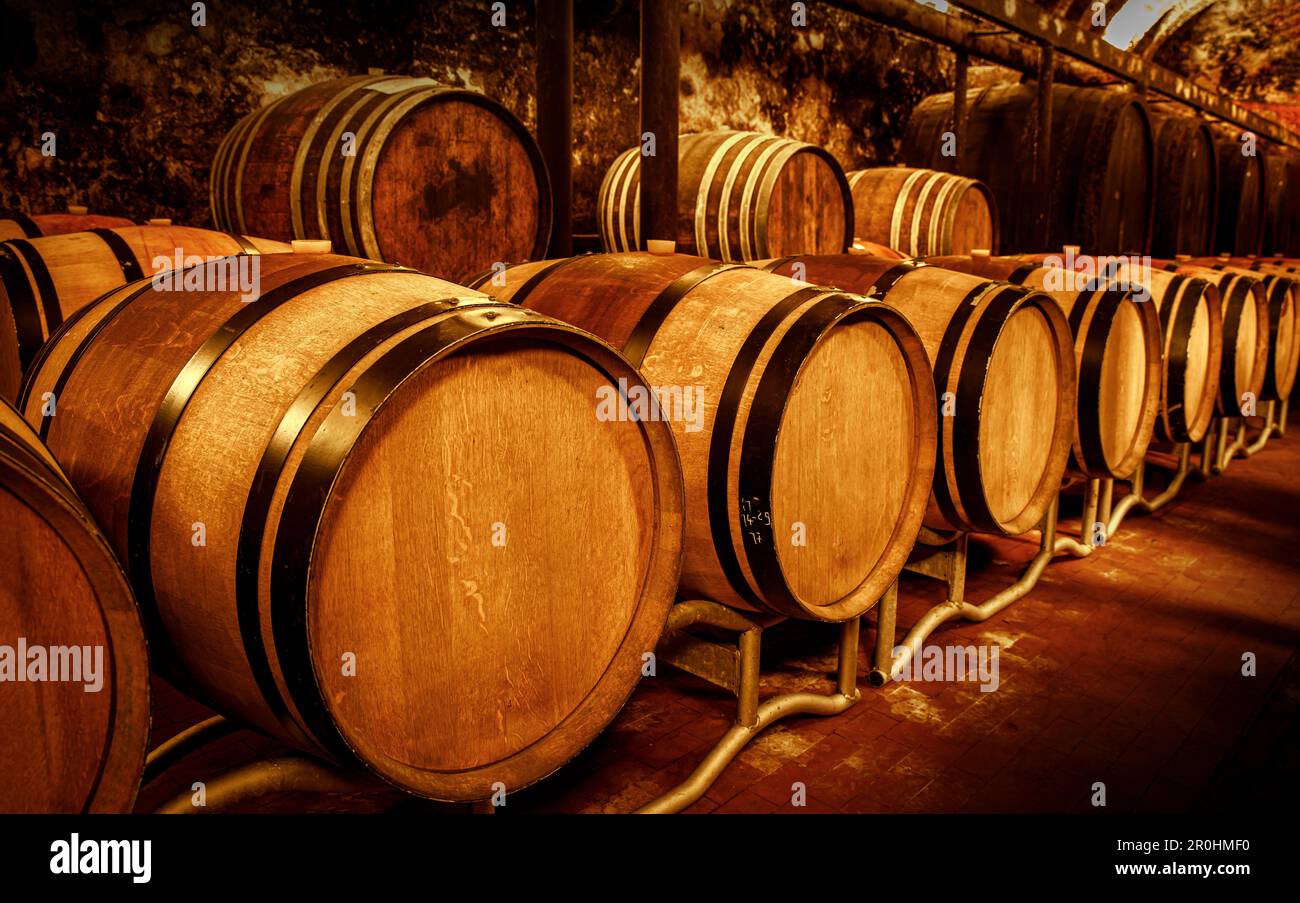 Wooden barrels wine cognac hi-res stock photography and images - Alamy