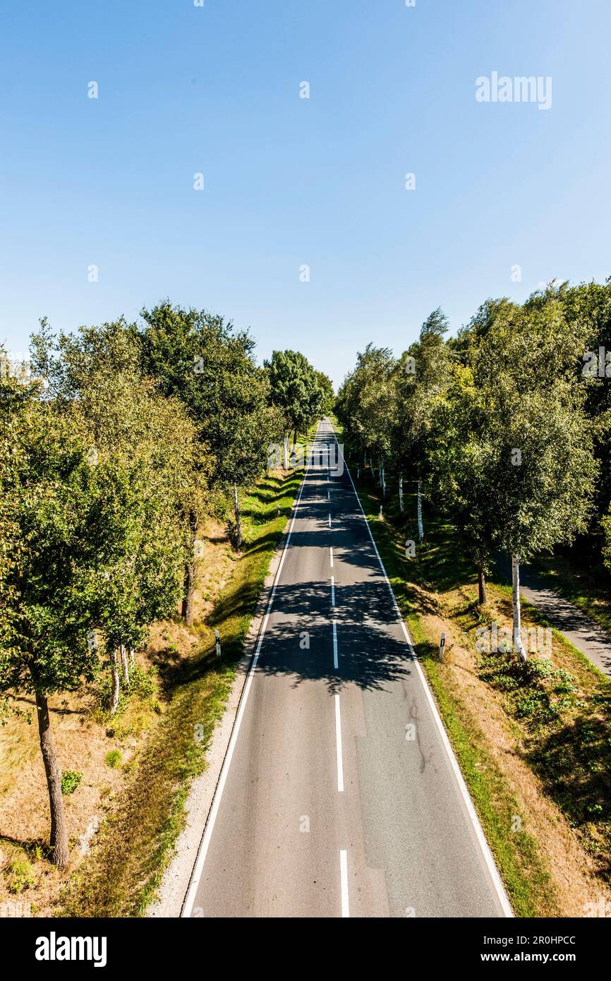 Road disappearing into the horizon, Radbruch, Winsen Luhe, Niedersachsen, north Germany, Germany Stock Photo