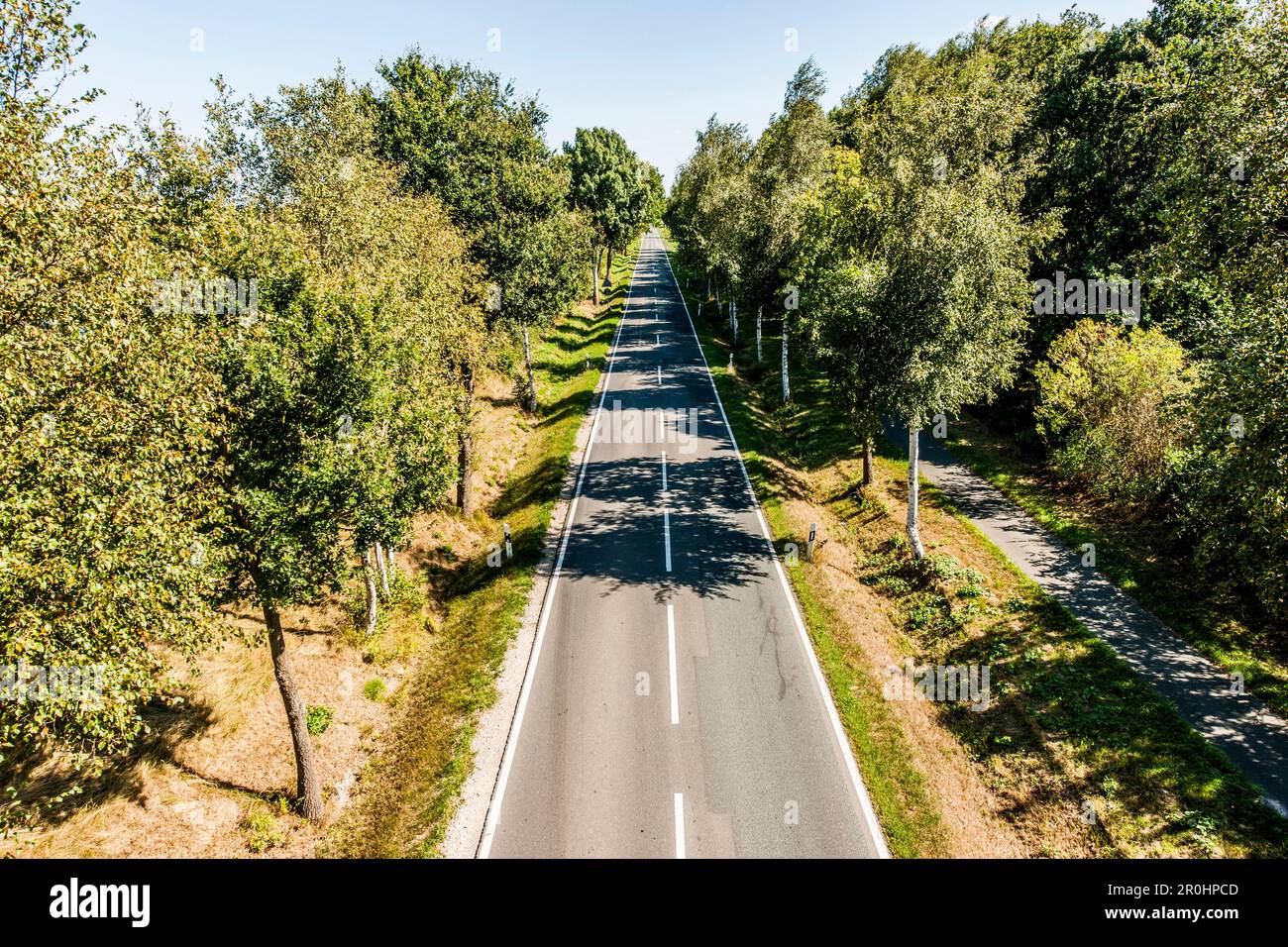 Road disappearing into the horizon, Radbruch, Winsen Luhe, Niedersachsen, north Germany, Germany Stock Photo