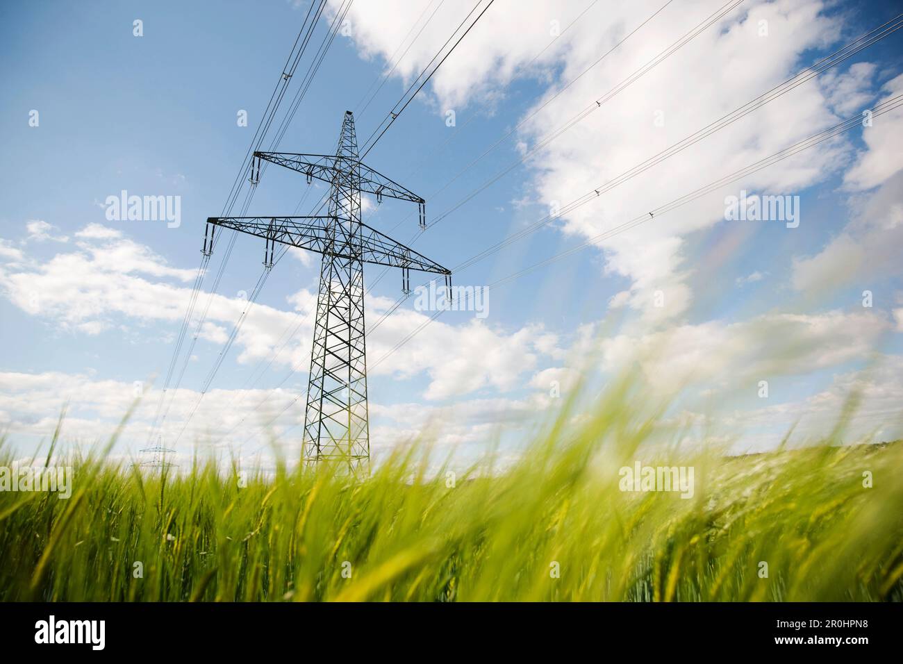 Cornfield with electricity pylon, Gleisdorf, Styria, Austria Stock Photo