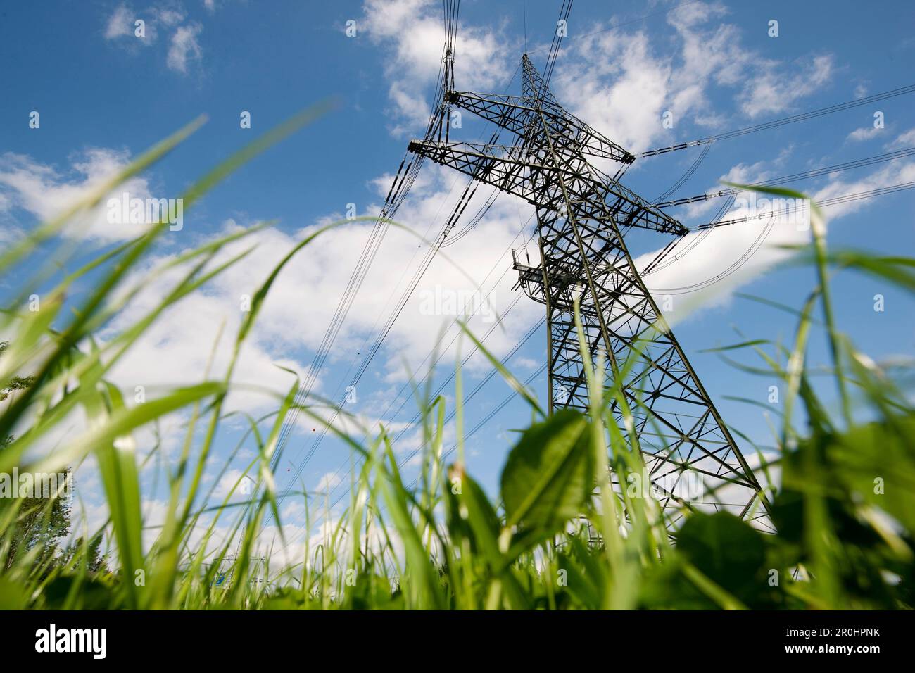 Electricity pylon in a meadow, Gleisdorf, Styria, Austria Stock Photo