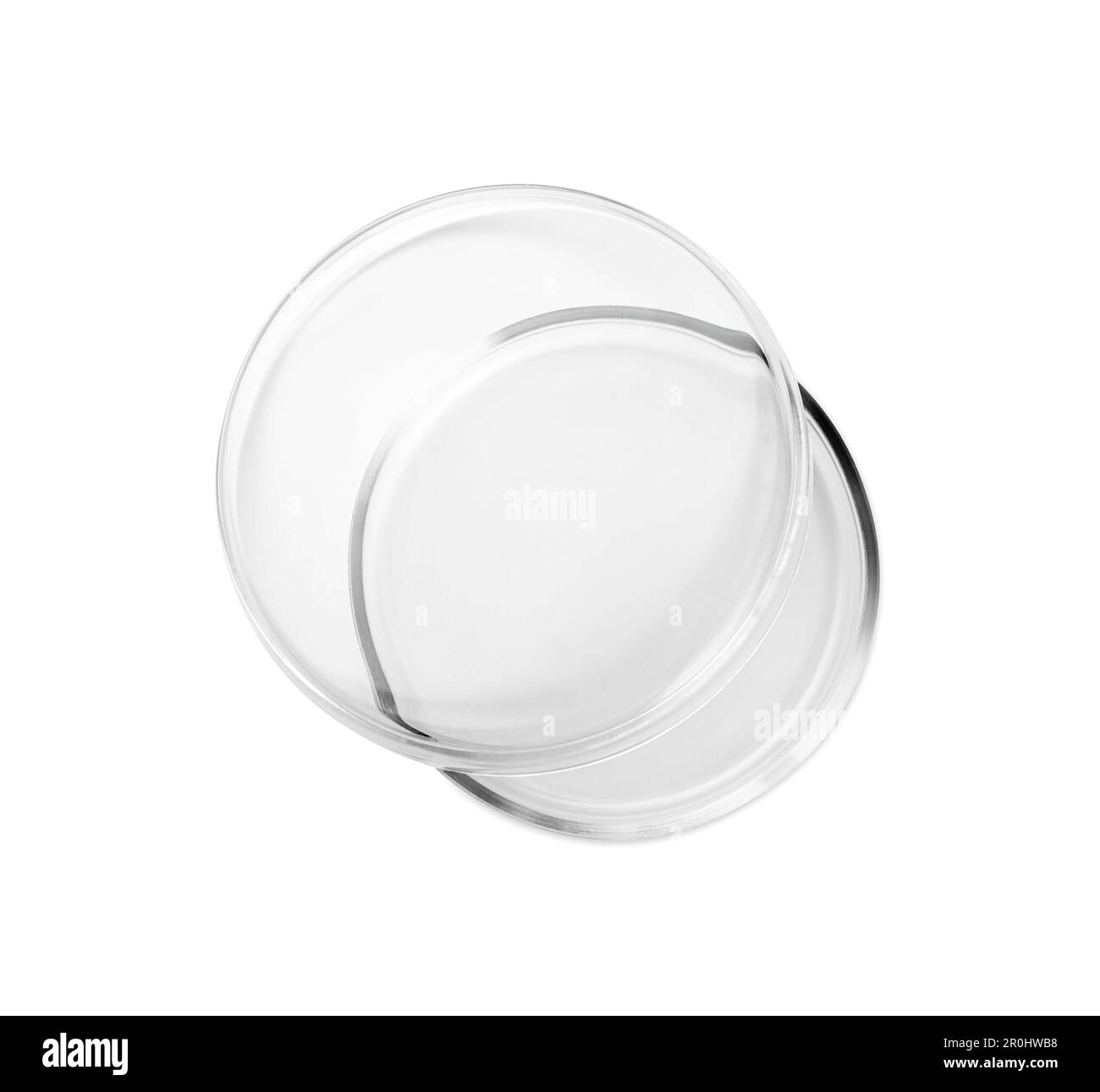 Empty glass Petri dishes isolated on white, top view Stock Photo Alamy