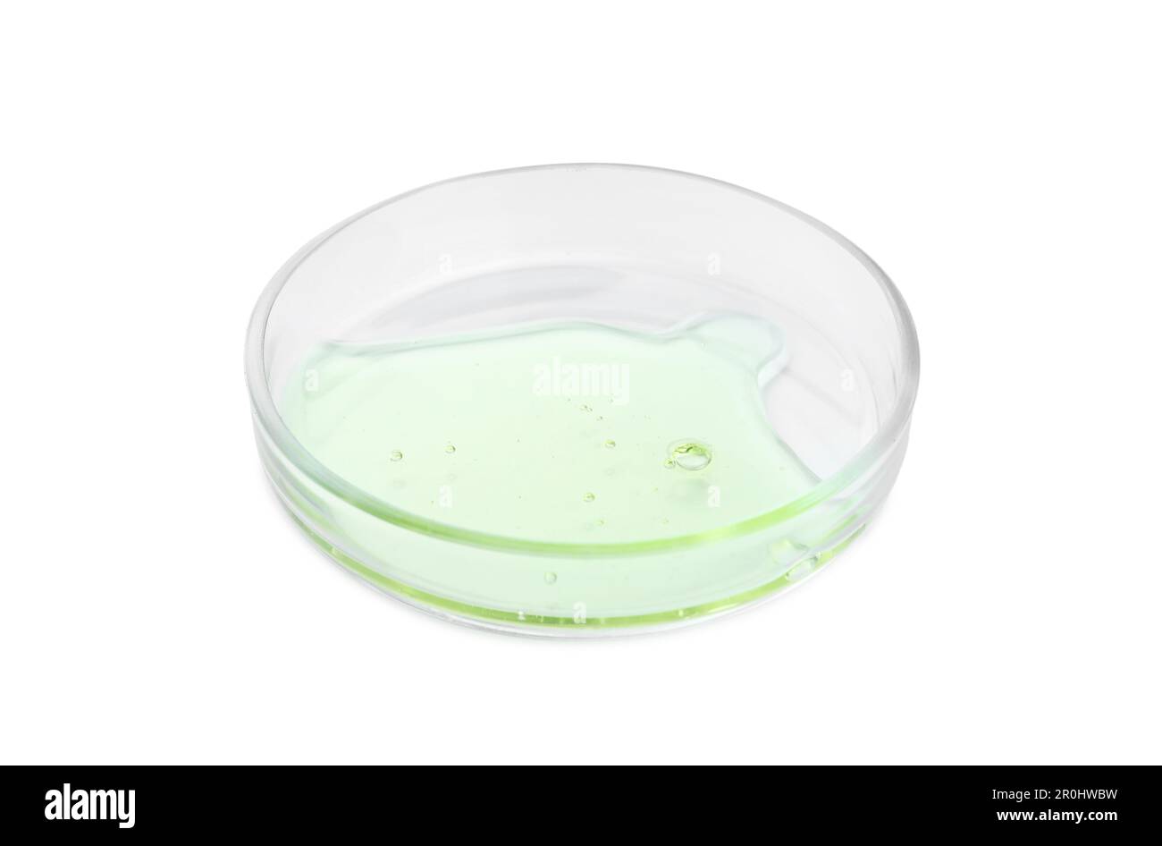 Petri dish with liquid isolated on white Stock Photo - Alamy
