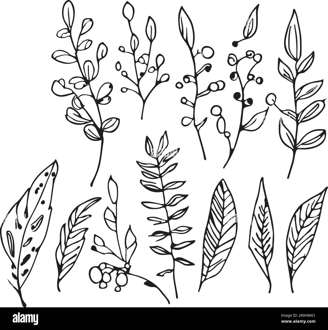 Fantastical hand drawn line forest flora vector Stock Vector Image ...