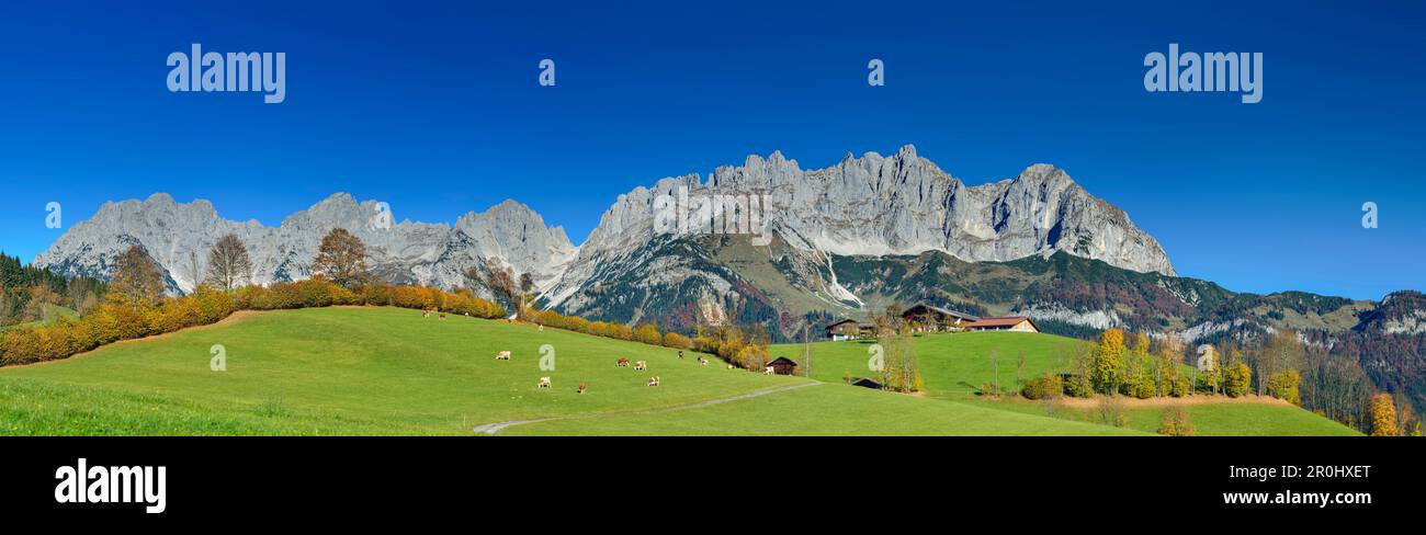 panorama-with-wilder-kaiser-from-south-with-treffauer-ellmauer-halt