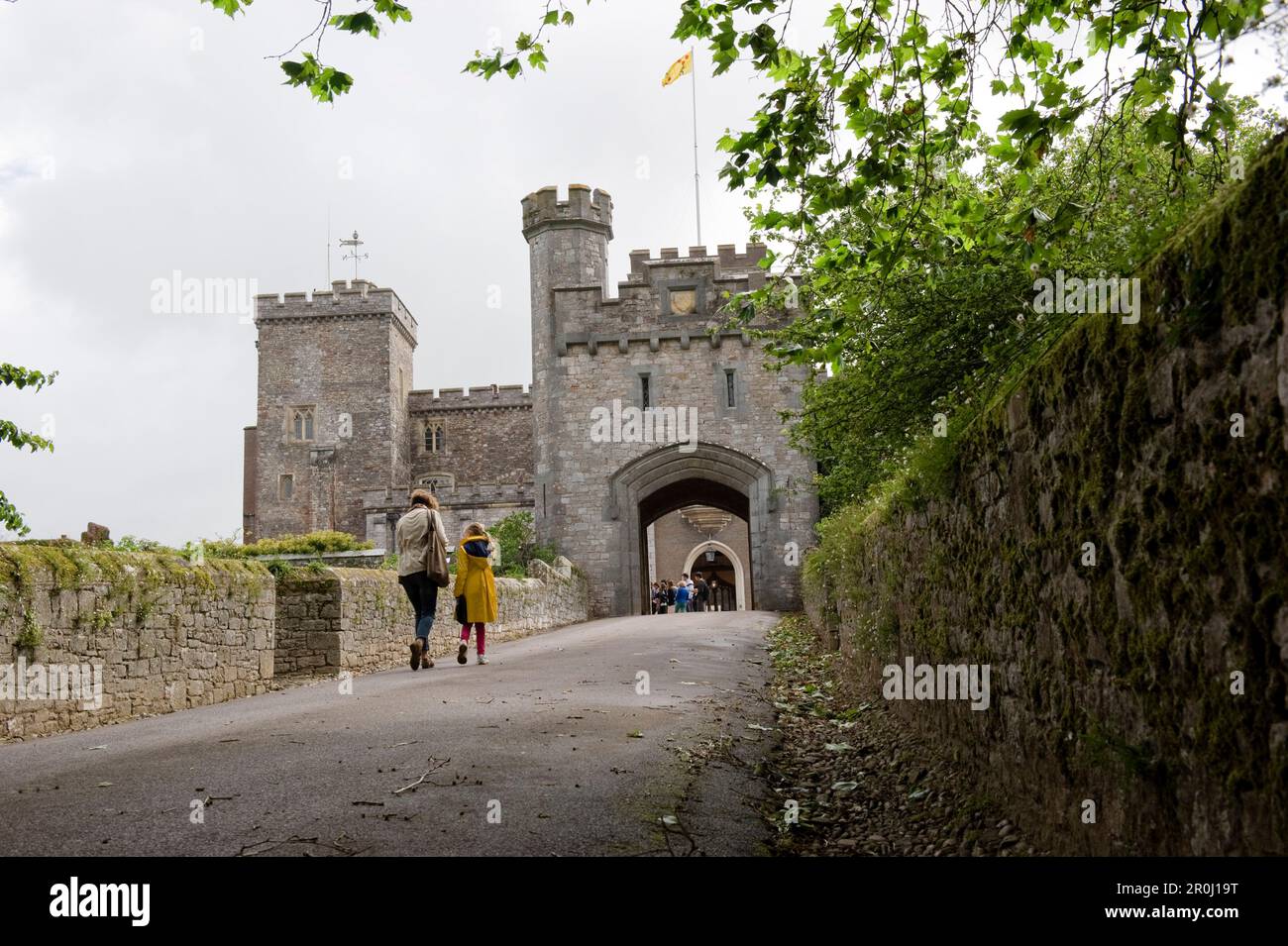 Powderham castle hi-res stock photography and images - Alamy