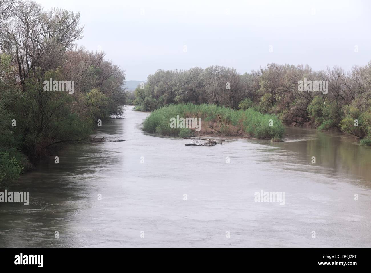 Water Rover Side Island at flowing river water . Riverside spring nature Stock Photo - Alamy
