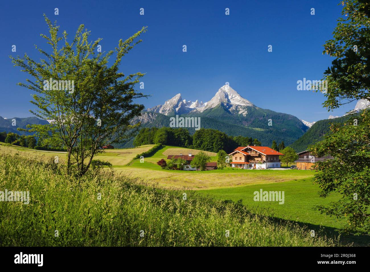 Farm with meadows and fields, Watzmann in the background ...