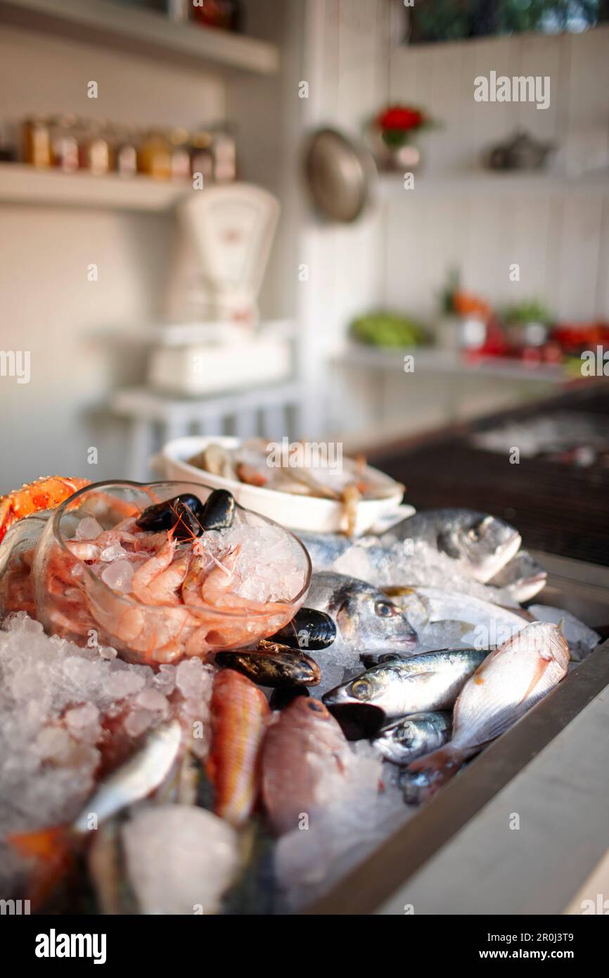 Seafood in a hotel restaurant, Vourvourou, Sithonia, Chalkidiki, Greece Stock Photo