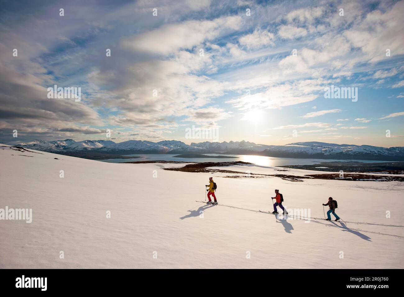 Skiers ascending in midnight sun, Lyngen Alps, Troms, Norway Stock Photo
