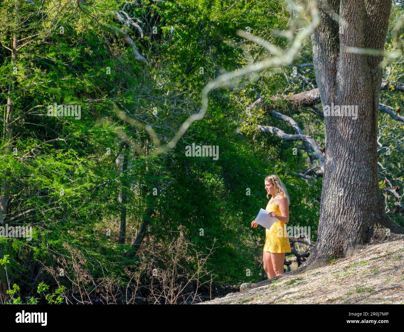 NEW ORLEANS, LA, USA - MARCH 6, 2023: Female college student attempting to memorize words on the sheet of paper she's holding in Audubon Park Stock Photo