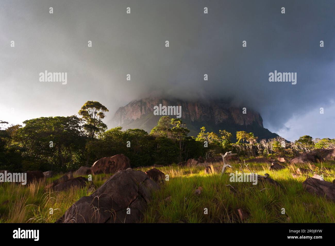 Rain clouds on the Acopan Tepui, Acopan Tepui, La Gran Sabana, Bolivar, Venezuela Stock Photo