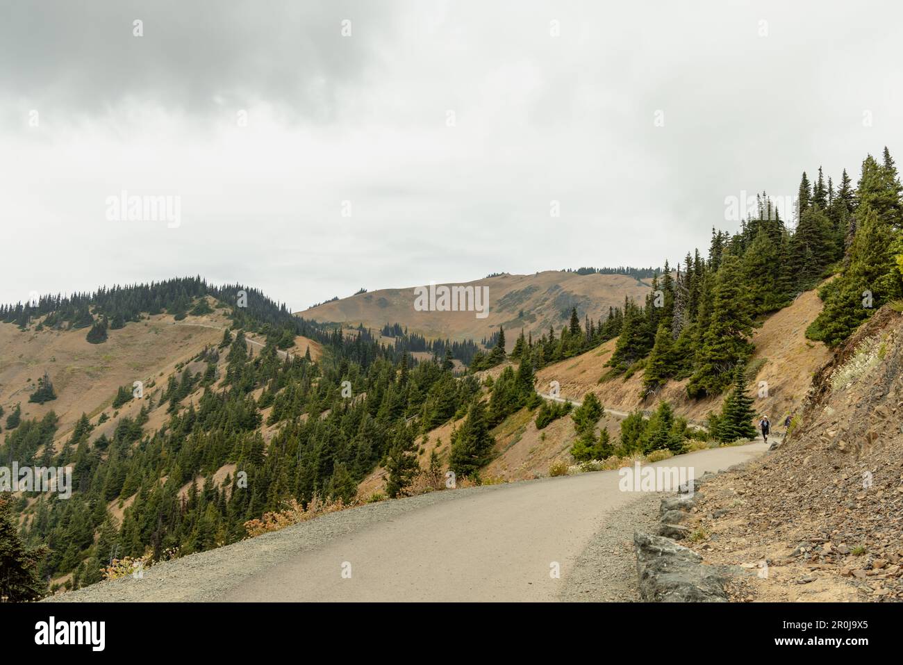 Washington - Hurricane Hill Trail, Olympic National Park