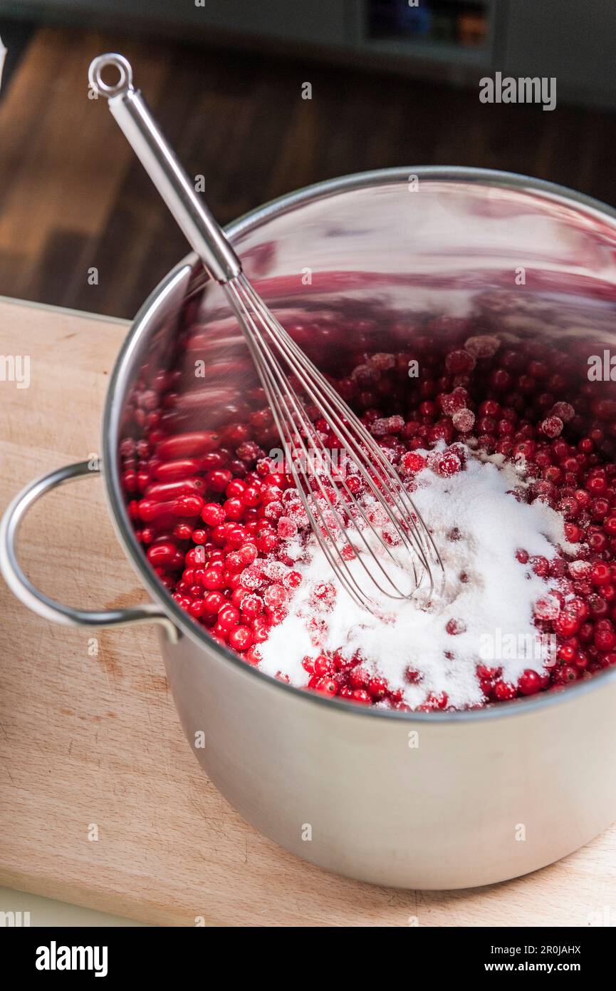 Sugar and currants in a cooking pot, making jam, Hamburg, Germany Stock Photo
