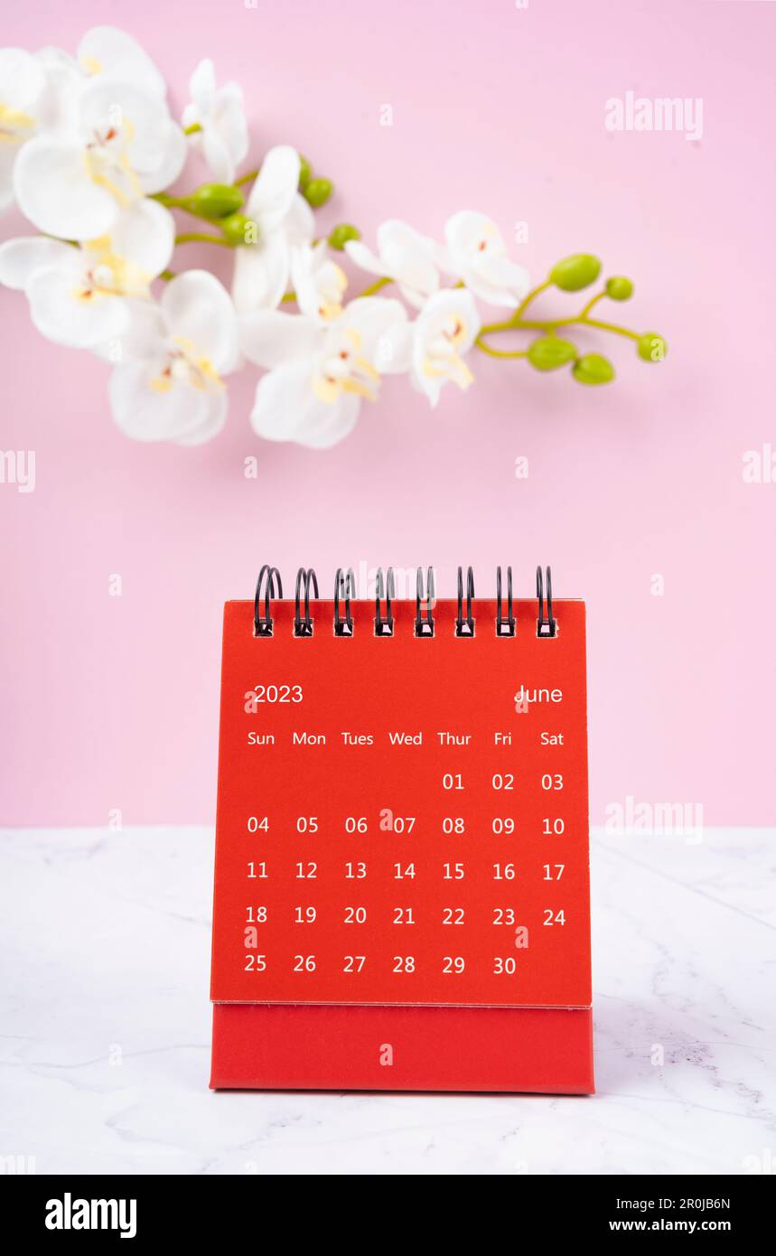 Red calendar June 2023. Desk calendar for year 2023 and pink orchid on