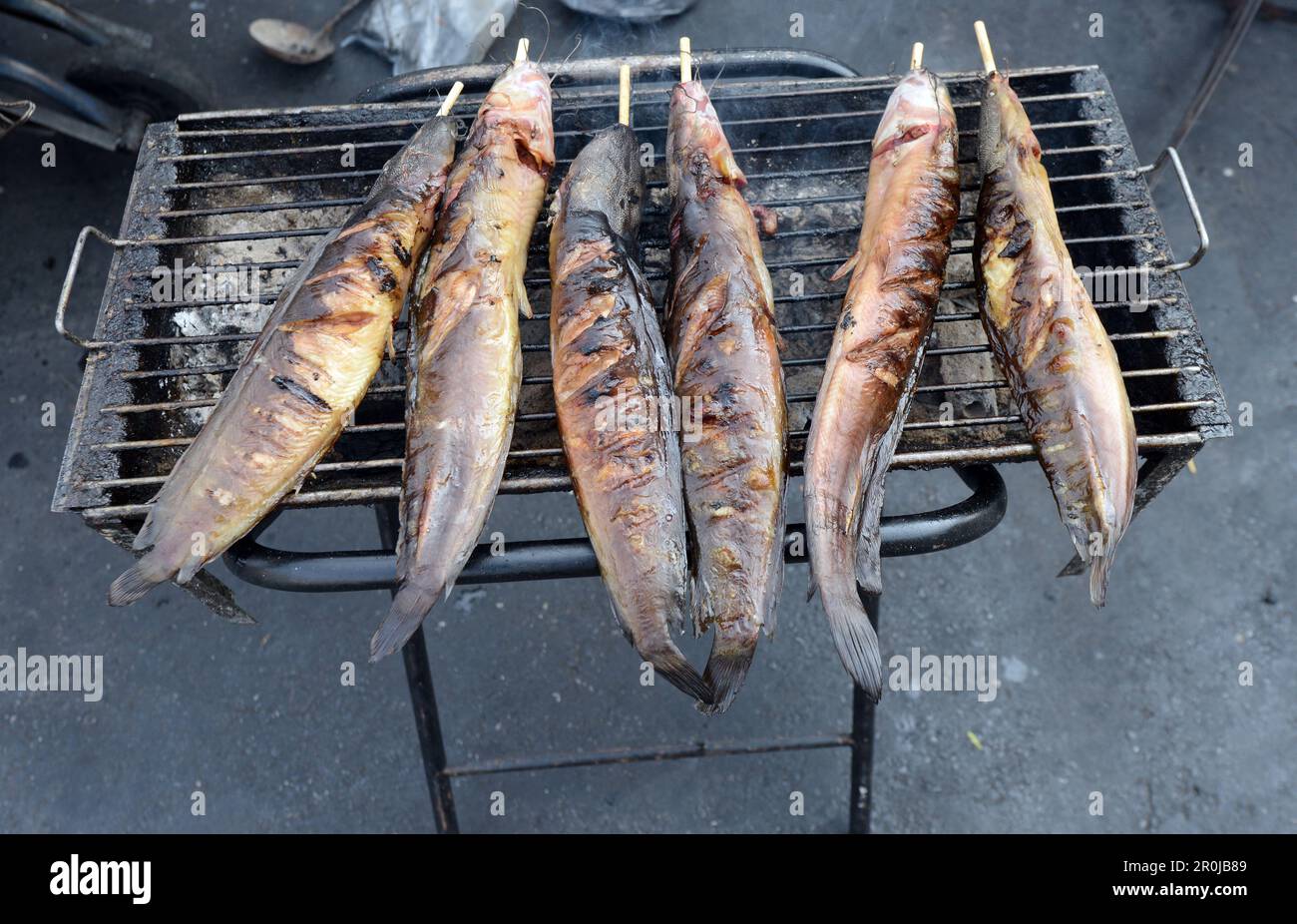 Grilled catfish cooked and sold by a vendor in Bangkok, Thailand. Stock Photo