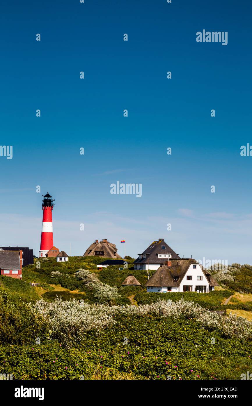 Thatched houses and lighthouse, Hoernum, Sylt Island, North Frisian Islands, Schleswig-Holstein, Germany Stock Photo