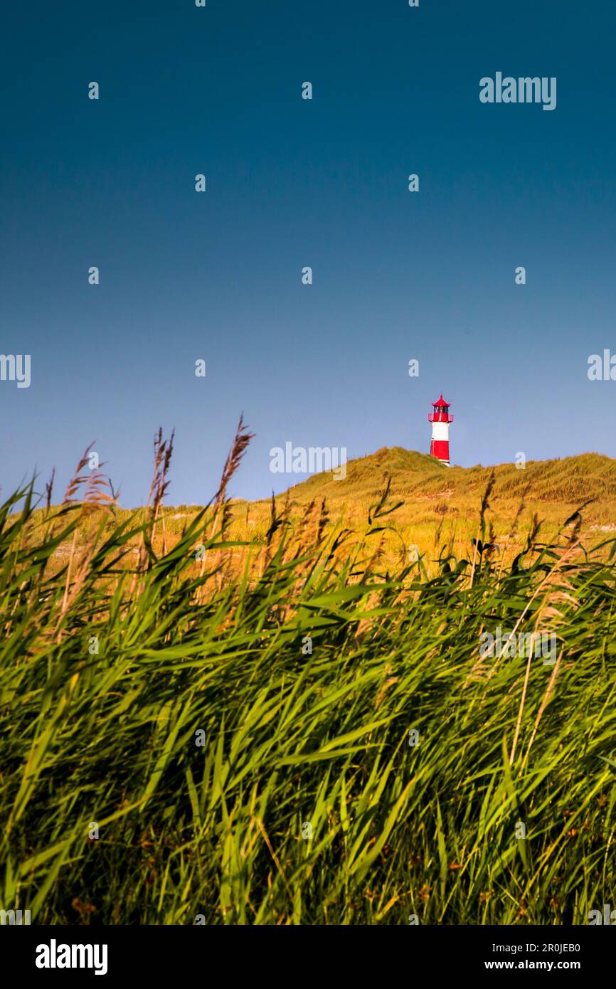 Lighthouse List east, Ellenbogen, Sylt Island, North Frisian Islands, Schleswig-Holstein, Germany Stock Photo