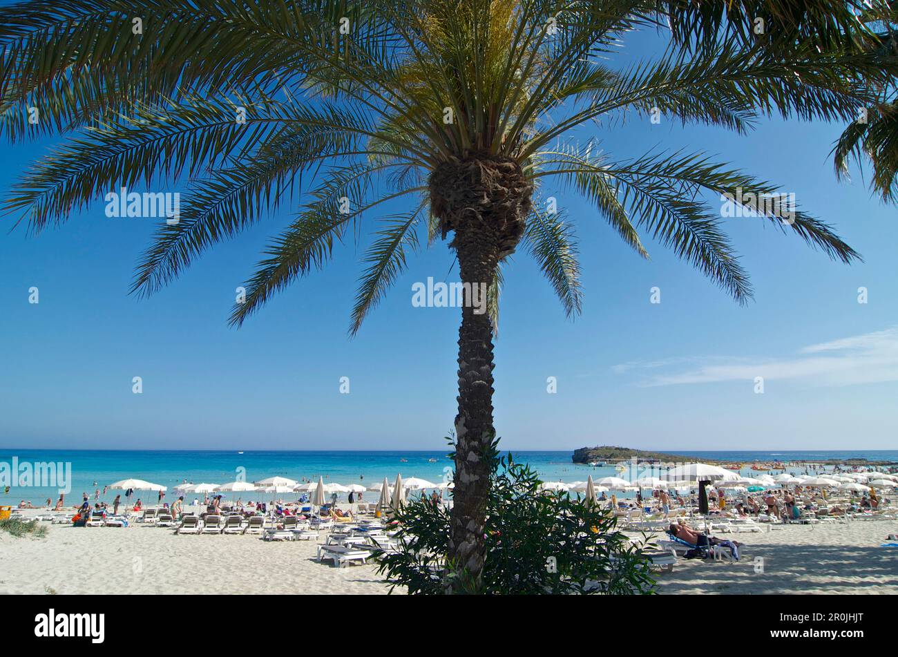White Sandy Beach With Palm Trees Nissi Beach Near Ayia Napa Northeast 