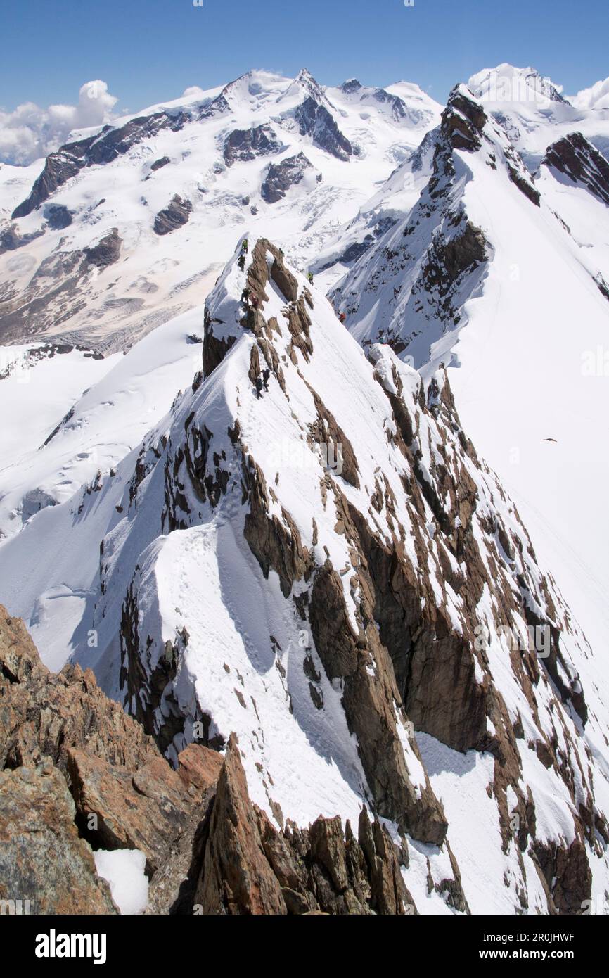 Alpinists traversing the exposed ridge of Breithorn Mittelgipfel, Valais Alps, canton of Valais and region of Aosta Valley, national border of Switzer Stock Photo