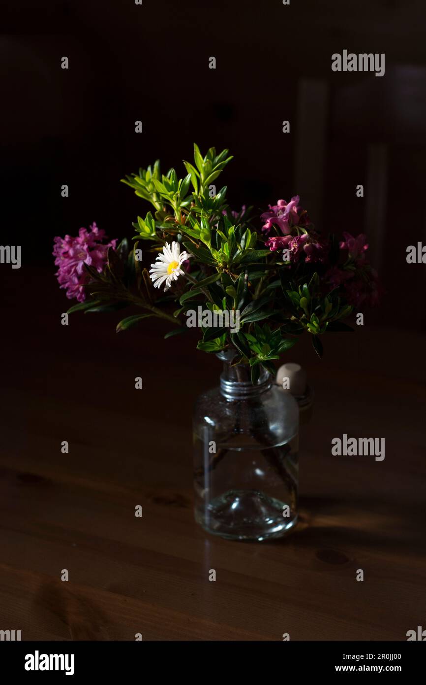 A bouquet of flowers made of alpine roses and a marguerite on a wooden table, Cousimbert Hut on the summit of Cousimbert, foothills of Fribourg, canto Stock Photo