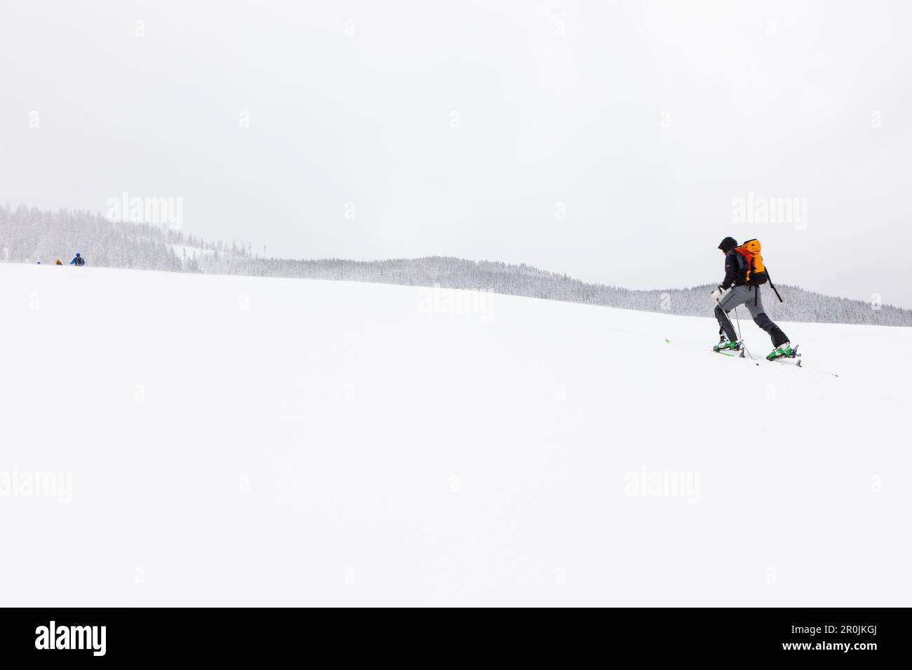 backcountry skier ascending Hochplatte, Tirol, Austria Stock Photo