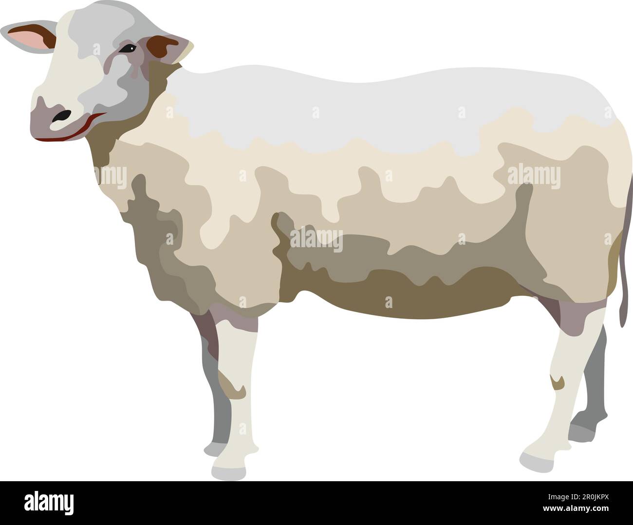 Sheep Mammal Animal Vector Stock Vector Image & Art - Alamy