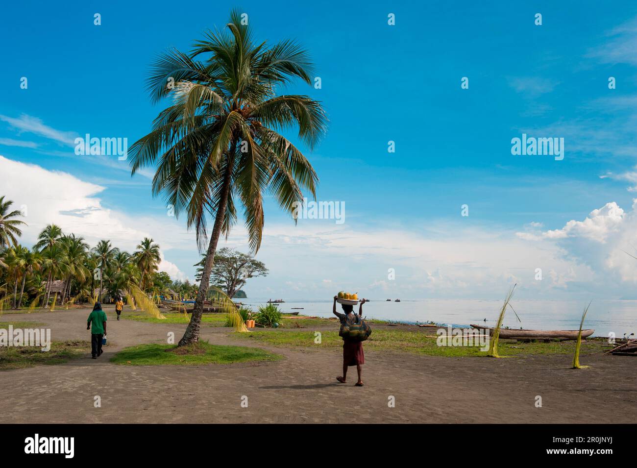 Beachside path and coconut tree, Kopar, East Sepik Province, Papua New Guinea, South Pacific Stock Photo