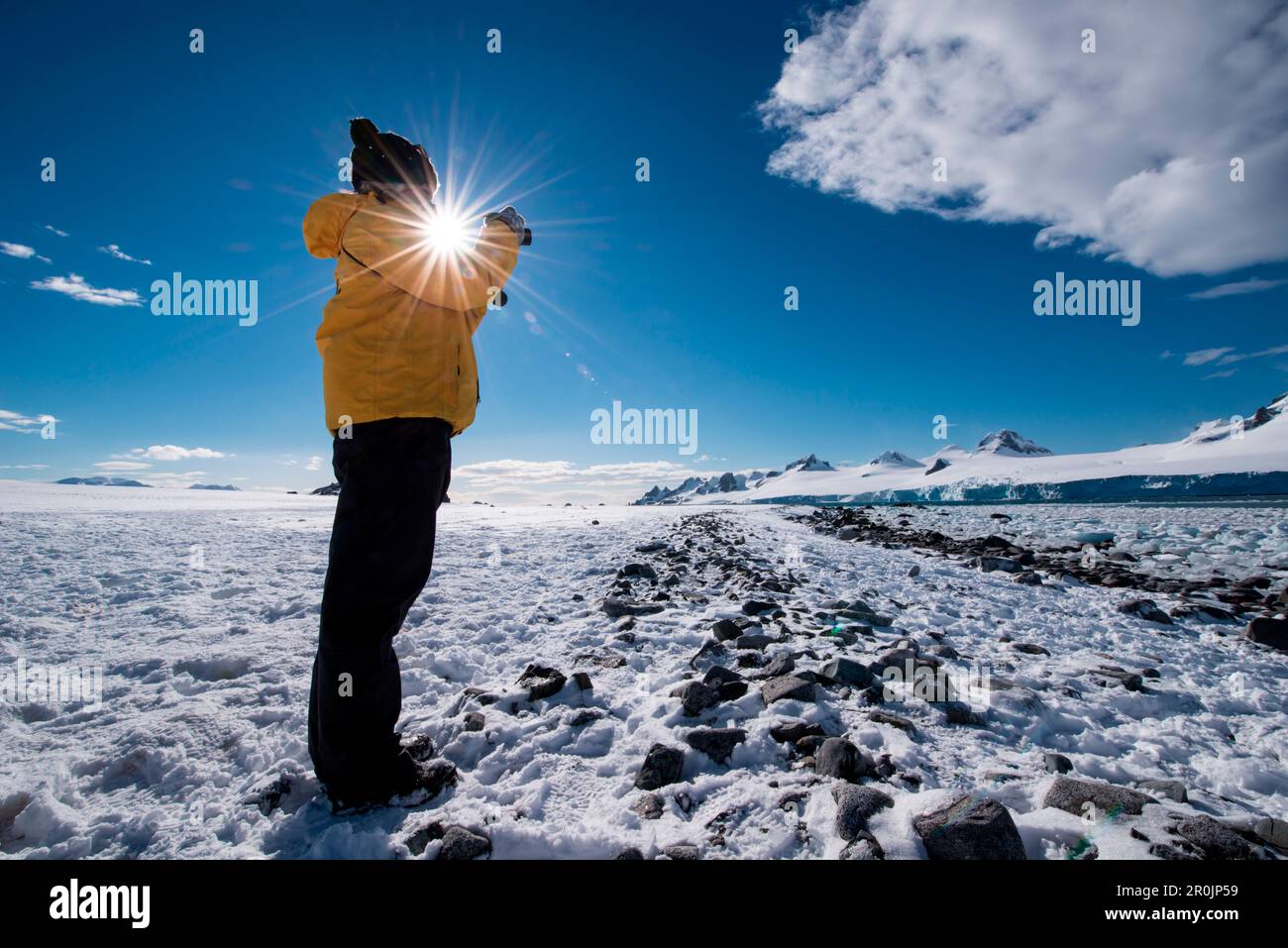 Woman in yellow expedition parka stands on ice field and takes a photograph, Half Moon Island, South Shetland Islands, Antarctica Stock Photo