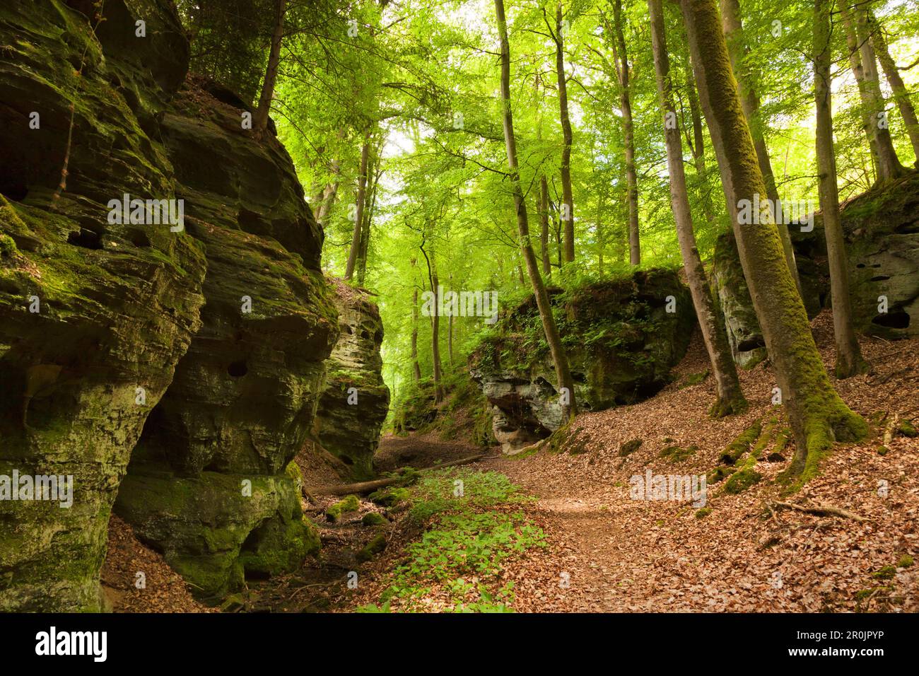 Rock formation Schweinestaelle, near Bollendorf, nature park Suedeifel, Eifel, Rhineland-Palatinate, Germany Stock Photo
