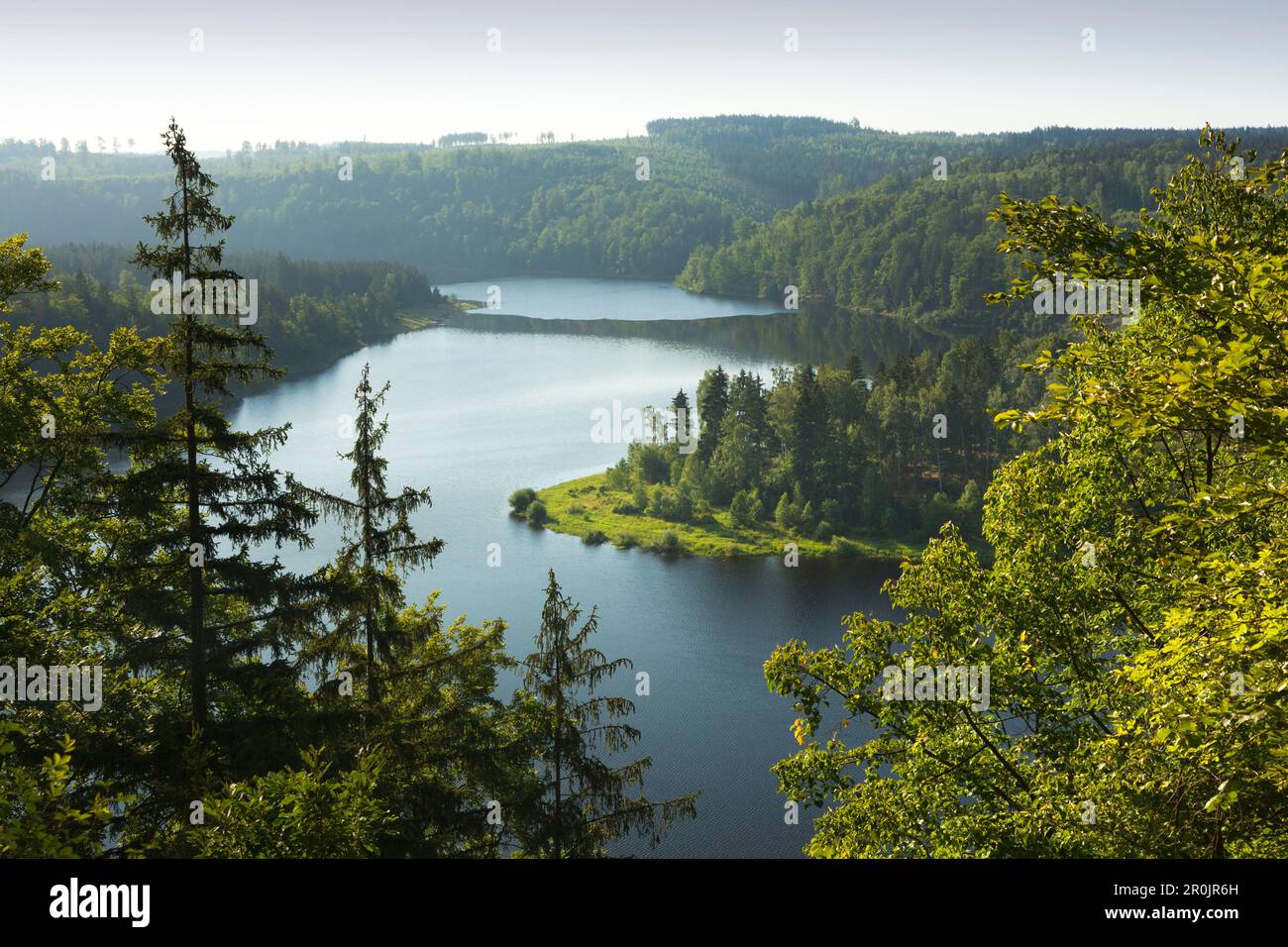 Saale barrier lake, nature park Thueringer Schiefergebirge / Obere Saale,  Thuringia, Germany Stock Photo