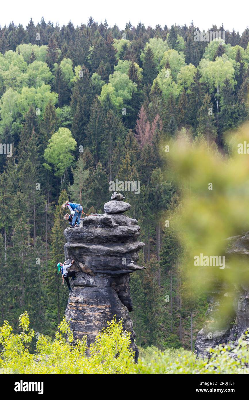 Climbers at the top of Schraubenkopf, climbing area, Saxony Switzerland,  climbers, Bielatal, elbe sandstone mountains, Dresden, Saxony, Germany,  Europ Stock Photo - Alamy