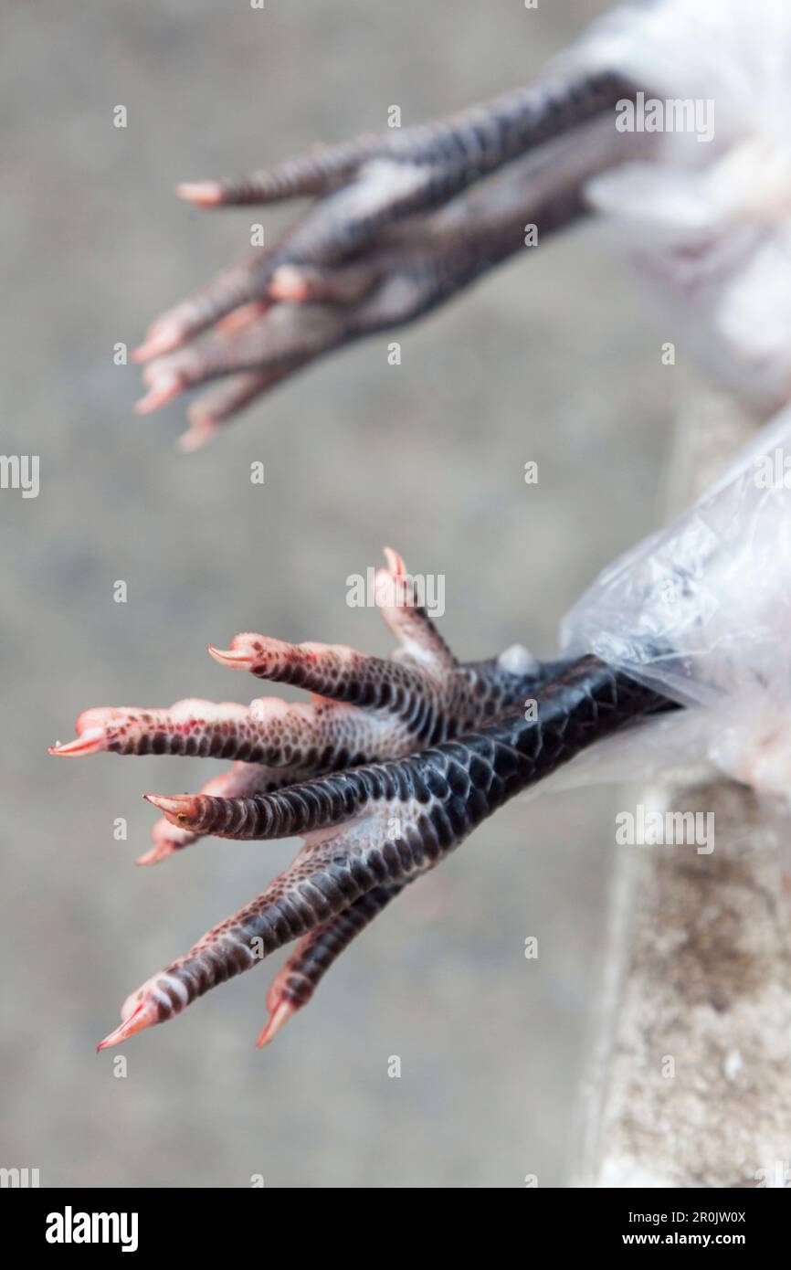 Black chicken feet, phoenix claws, fengzhua, local market, Jincheng