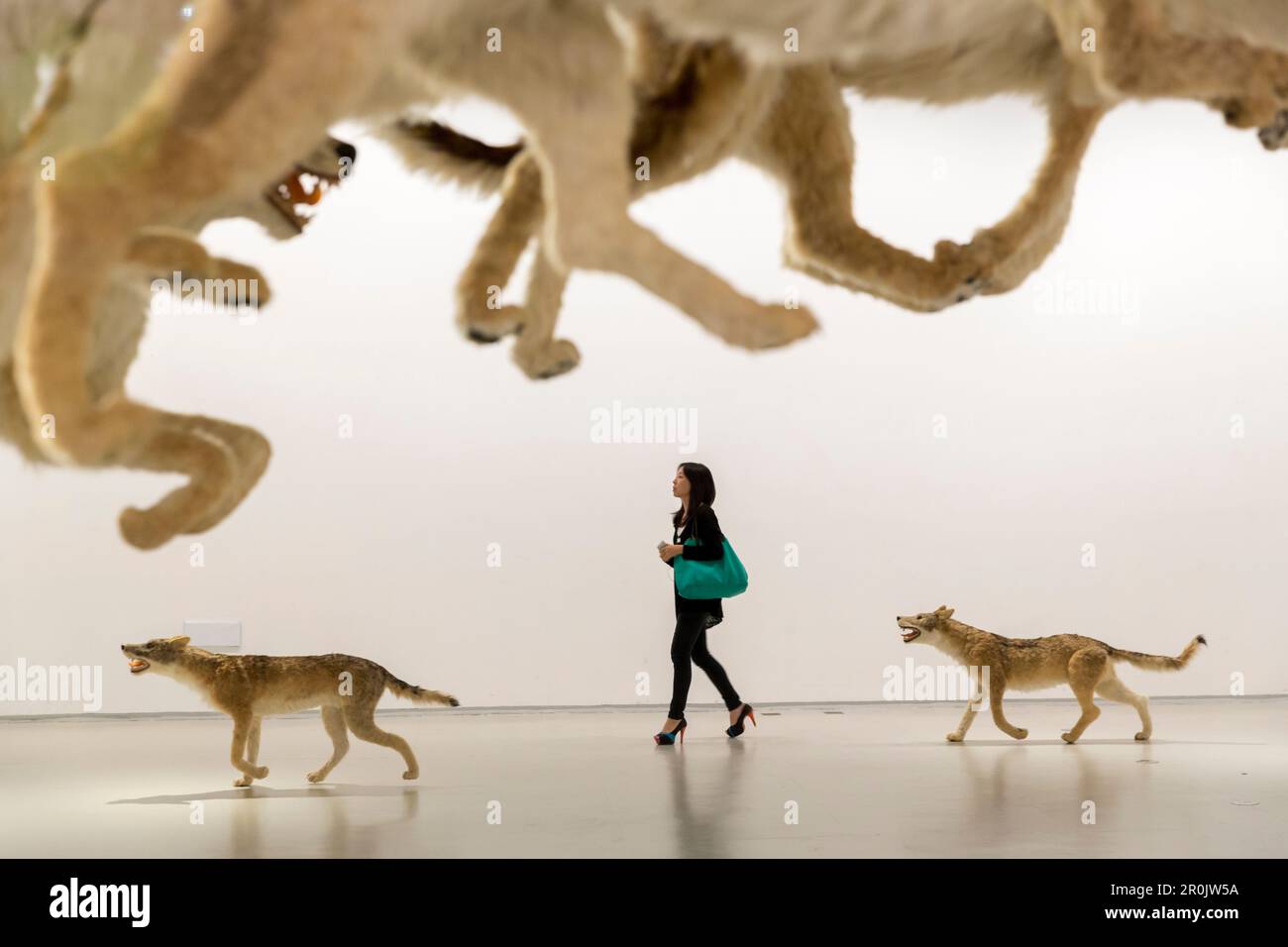 Installation Head On, wolves, visitors, exhibiton of Cai Guoqiang, Cai