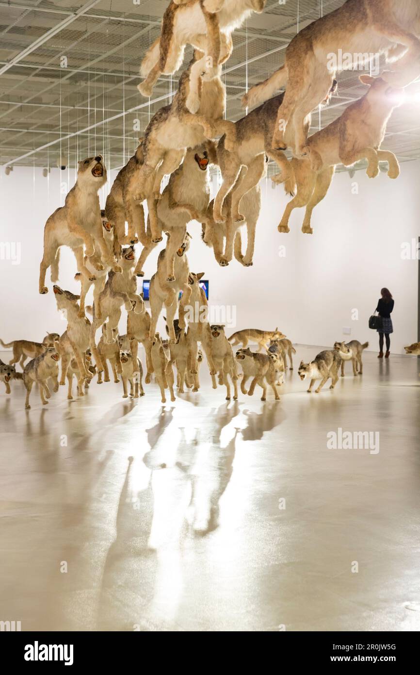 Installation Head On, wolves, visitors, exhibiton of Cai Guoqiang, Cai